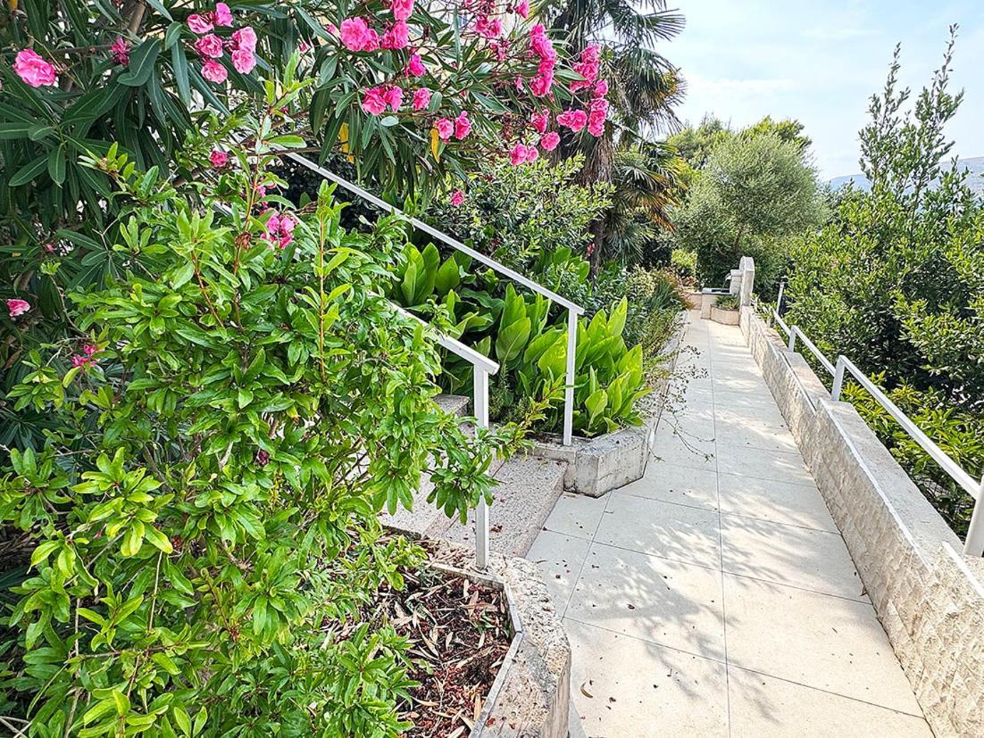 Apartment Antonio Trogir